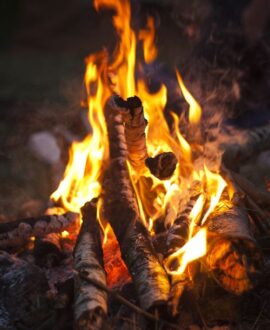 Bonfire